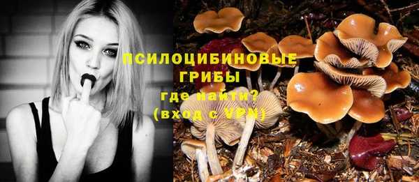 марихуана Медногорск