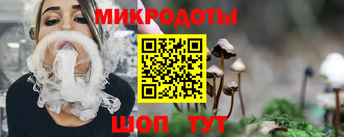 Псилоцибиновые грибы Psilocybe Ишимбай