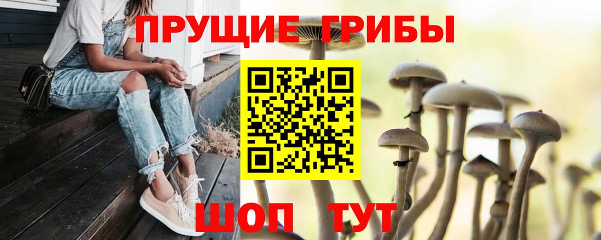 Ишимбай  Галлюциногенные грибы прущие грибы  Вход с VPN 